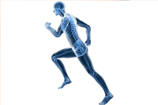 Chirurgie orthopédique